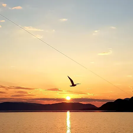 Fugelvagen, And Glamping