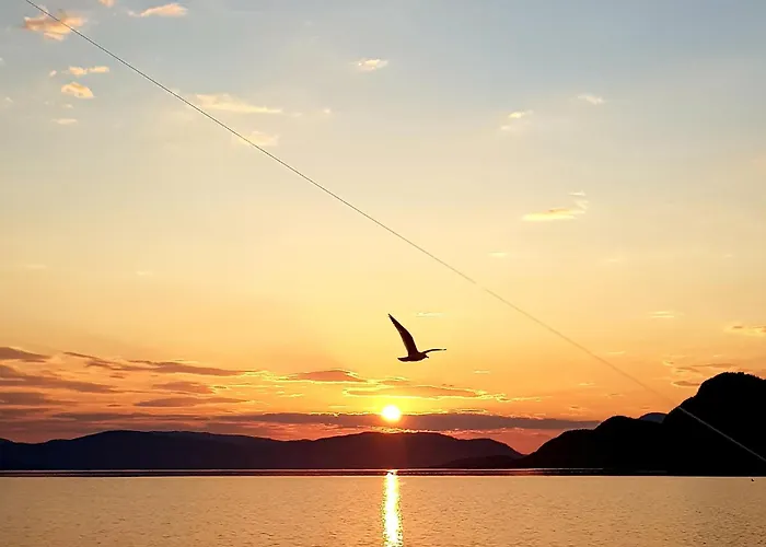 Fugelvagen, And Glamping